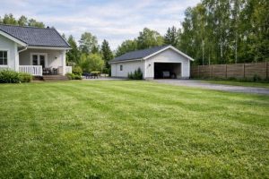 oikea ruohonleikkuri pihaasi